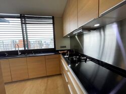 Hana (D10), Condominium #511046271